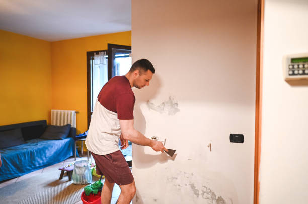 Best Fast Mold Removal  in Willoughby Hills, OH